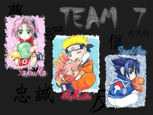 Team 7